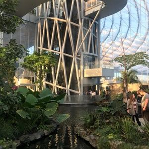 Meet your Posher, Diane tyrrell